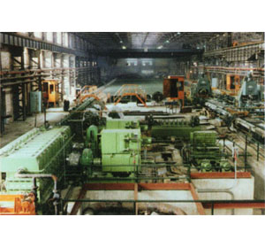 設備先進 · 滿足您多樣規格品種需求